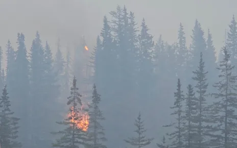 Rains help firefighters battle blazes in Canada’s Jasper National Park | Climate News