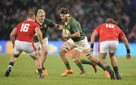 Nortje back in Bok dreamland