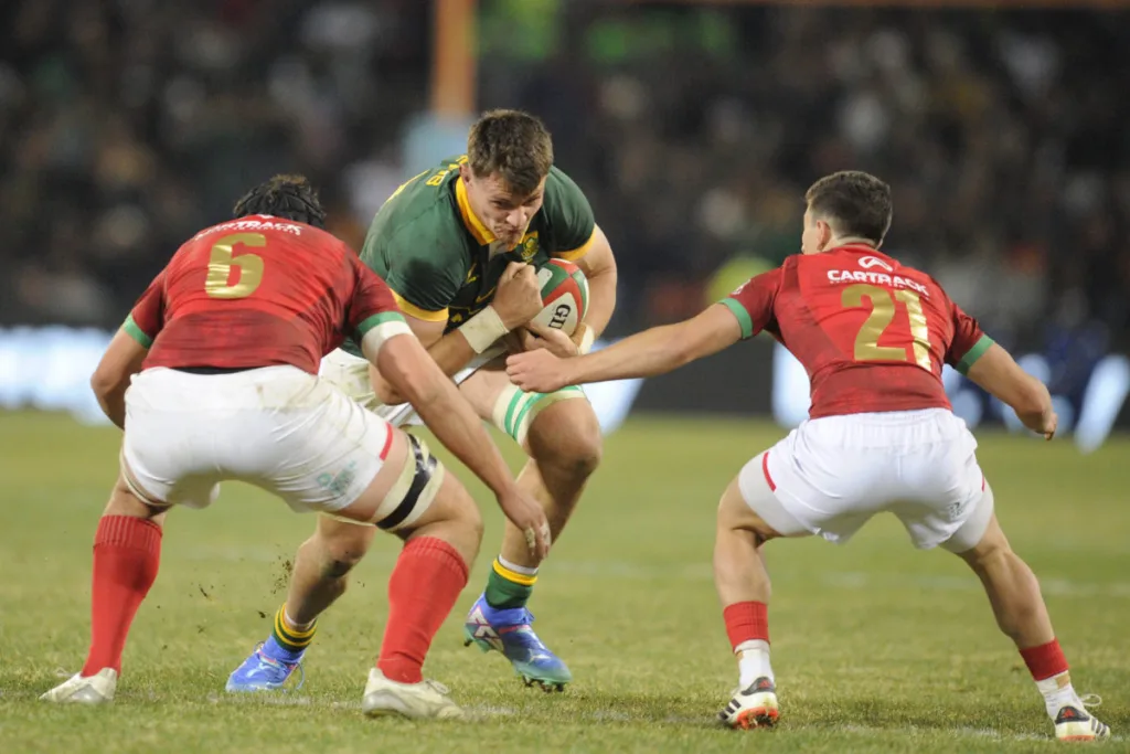 ‘New dog’ Louw to get Bok shot