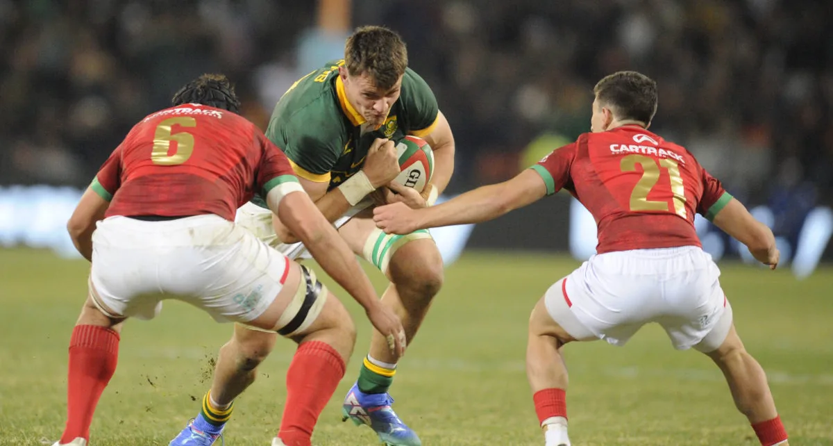 ‘New dog’ Louw to get Bok shot