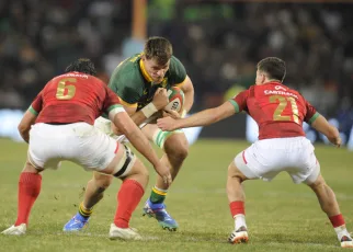 ‘New dog’ Louw to get Bok shot