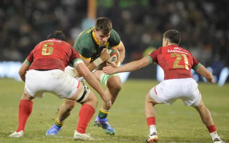 ‘New dog’ Louw to get Bok shot