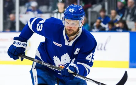 Marlies sign Clifford for 2024-25 season | TheAHL.com