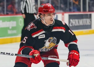 Monsters sign Ohio native Hall | TheAHL.com