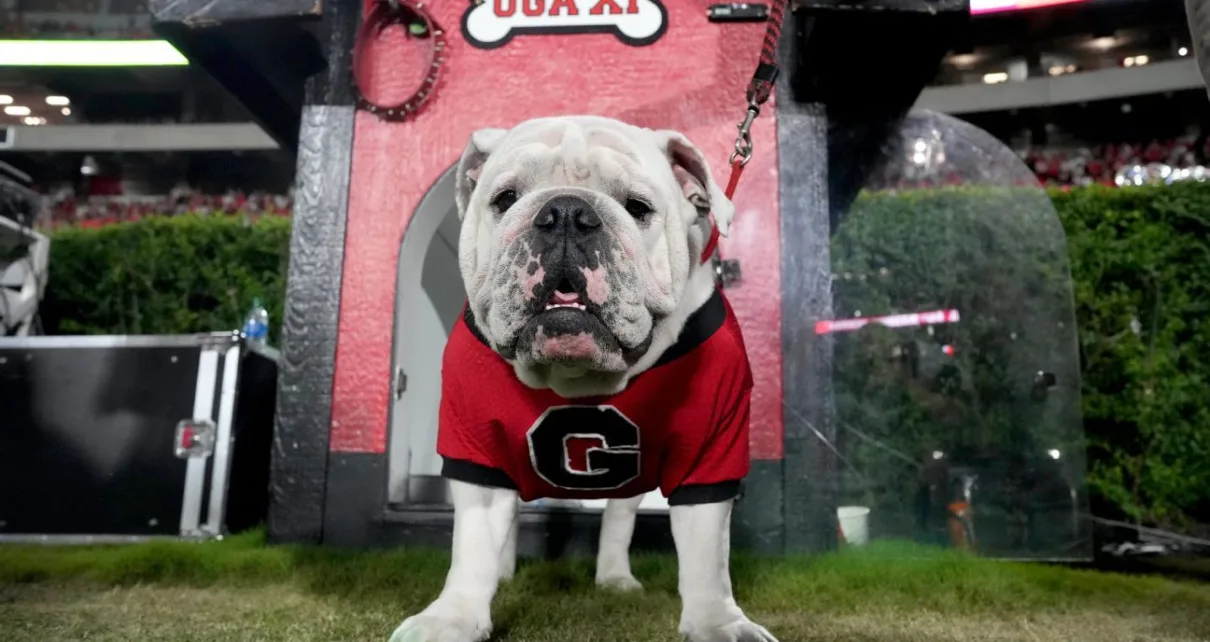 Georgia, Ohio State top coaches’ preseason college football poll