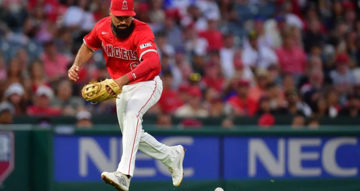 Angels’ Anthony Rendon day-to-day with bruised right elbow