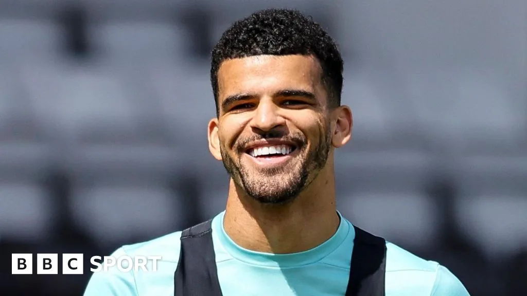 Dominic Solanke: Tottenham sign Bournemouth striker for £65m