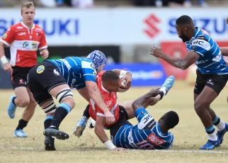 Lions pounce on game Griquas