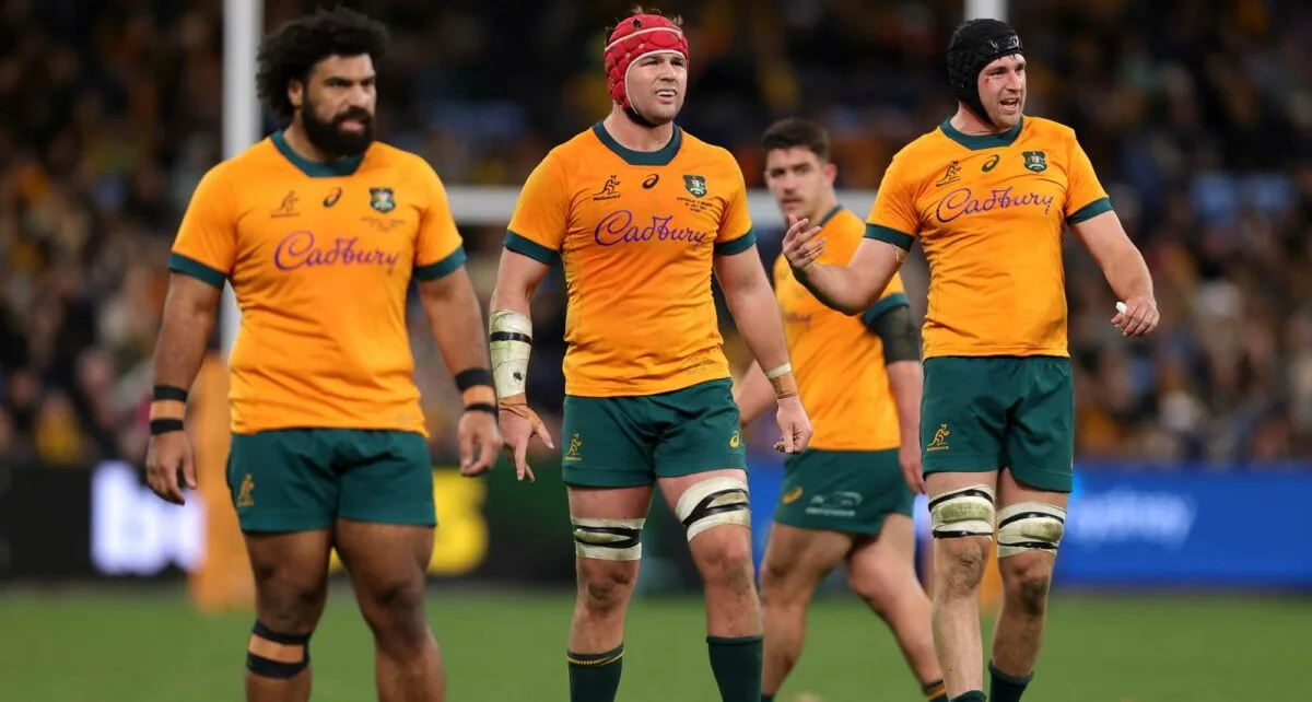 Schmidt wanted more time before facing Boks, but Wallabies gun can’t wait