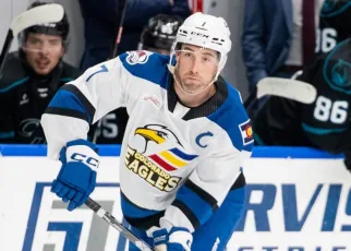 Bears add three-time All-Star Hunt to blue line | TheAHL.com