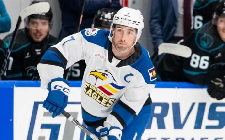 Bears add three-time All-Star Hunt to blue line | TheAHL.com