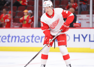 Danielson eager for 1st pro season heading into Red Wings training camp