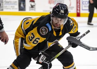 Barracuda sign forward White | TheAHL.com