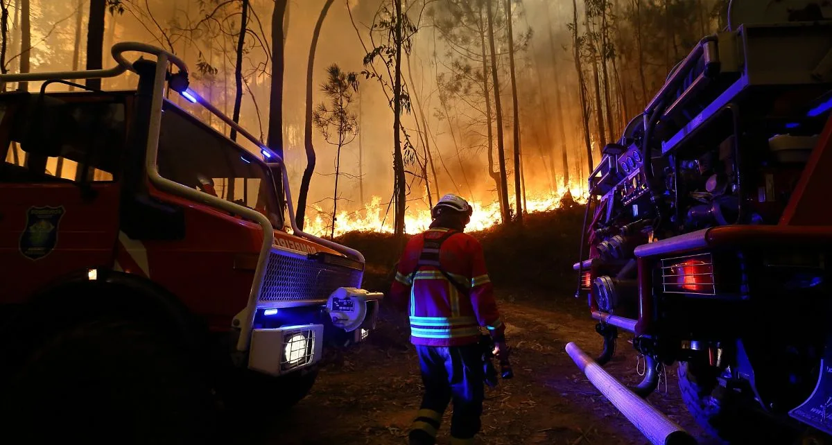 Portugal’s wildfires produce record emissions with smoke headed for France and Spain