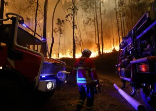 Portugal’s wildfires produce record emissions with smoke headed for France and Spain