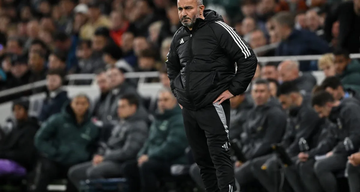 Qarabag manager fumes over London traffic after Europa League defeat to Tottenham