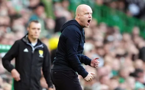 Steven Naismith frustrated by handball calls as Hearts lose at Celtic