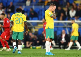 Australia appoint former Crystal Palace defender Tony Popovic as boss following shock World Cup qualifying results