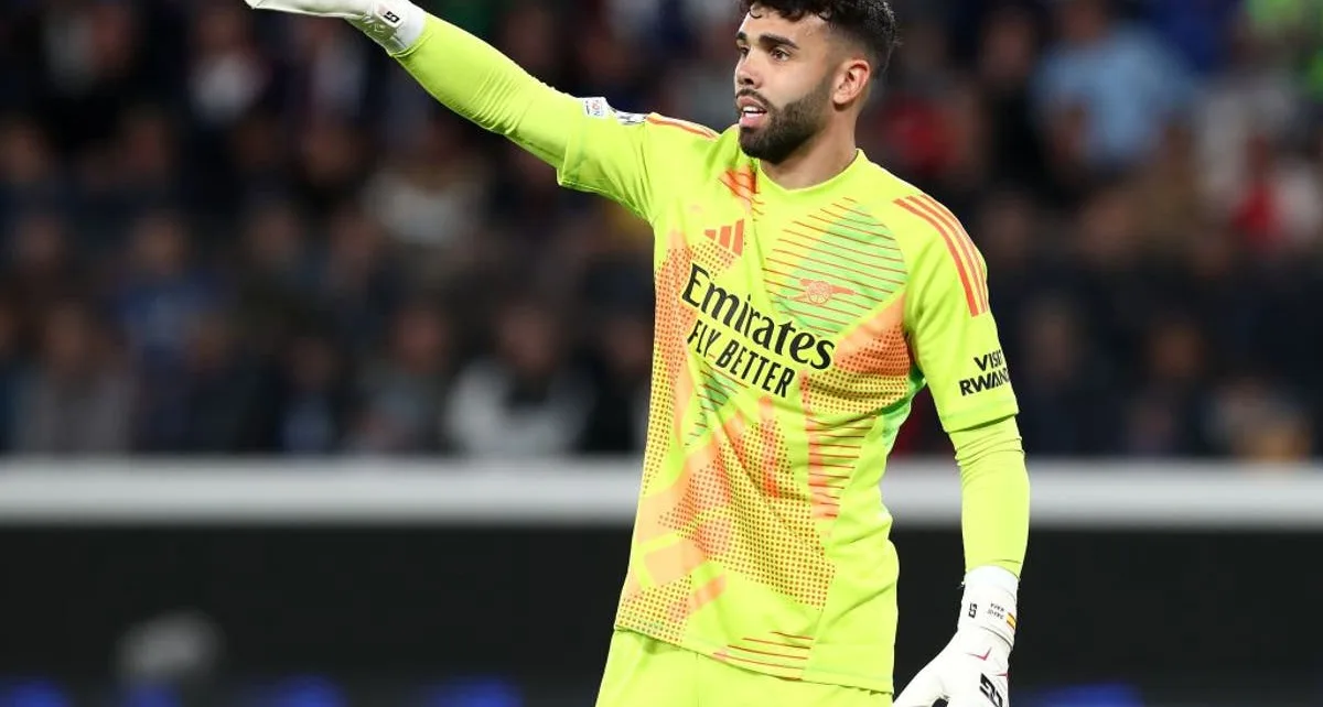 David Raya injury: Three potential FPL replacements for Arsenal goalkeeper after Mikel Arteta issues update