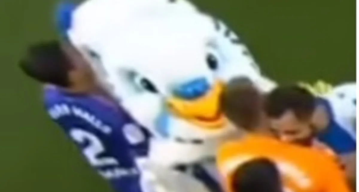 Spanish footballer found guilty of groping female mascot in parakeet costume