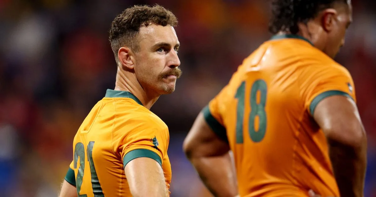 Joe Schmidt explains surprise Nic White selection for Bledisloe Cup clash