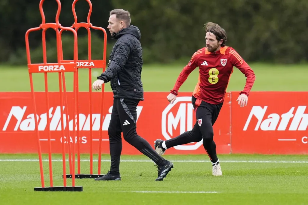 Craig Bellamy says ‘romantic’ Montenegro return for Joe Allen would be a gamble