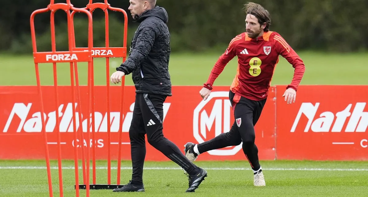 Craig Bellamy says ‘romantic’ Montenegro return for Joe Allen would be a gamble