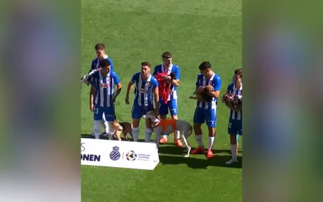 Footballers bring abandoned dogs onto pitch to help them find homes | Sport