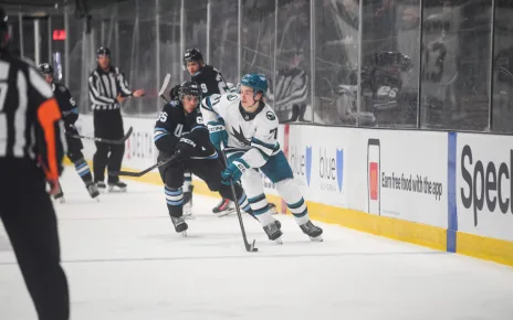 San Jose Sharks’ Macklin Celebrini Scores 1st Career Goal – The Hockey Writers – NHL News