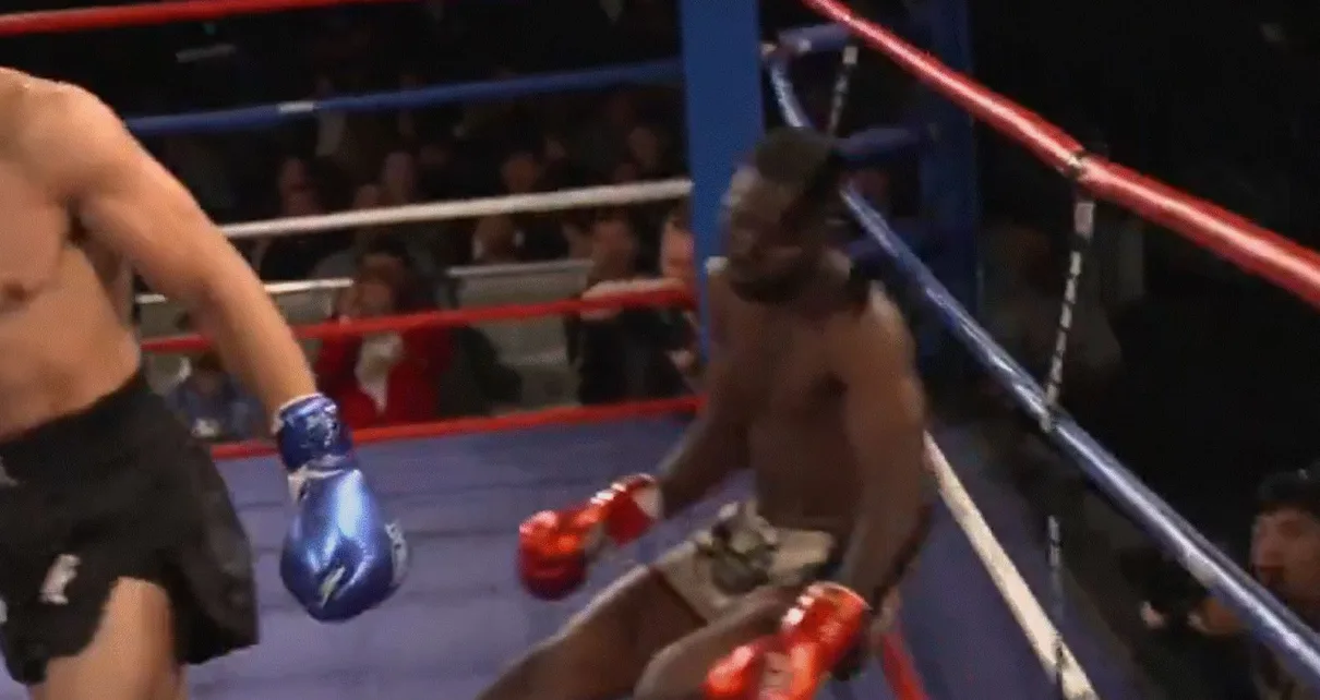 Video: Kickboxer suffers brutal knockout, awkwardly bounces off ropes like whacky inflatable tube man